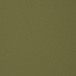 F1896 Sage by Greenhouse Fabric