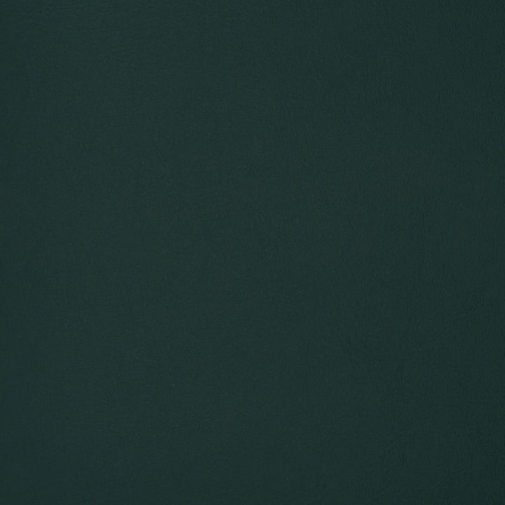 F1898 Dark Aqua by Greenhouse Fabric Contents: 100% Polyvinyl Chloride (Pvc), Backing: 100% Polyester CHINA 500,000 </p><p>Repeat: NONE 54" - Fabric Carolina -