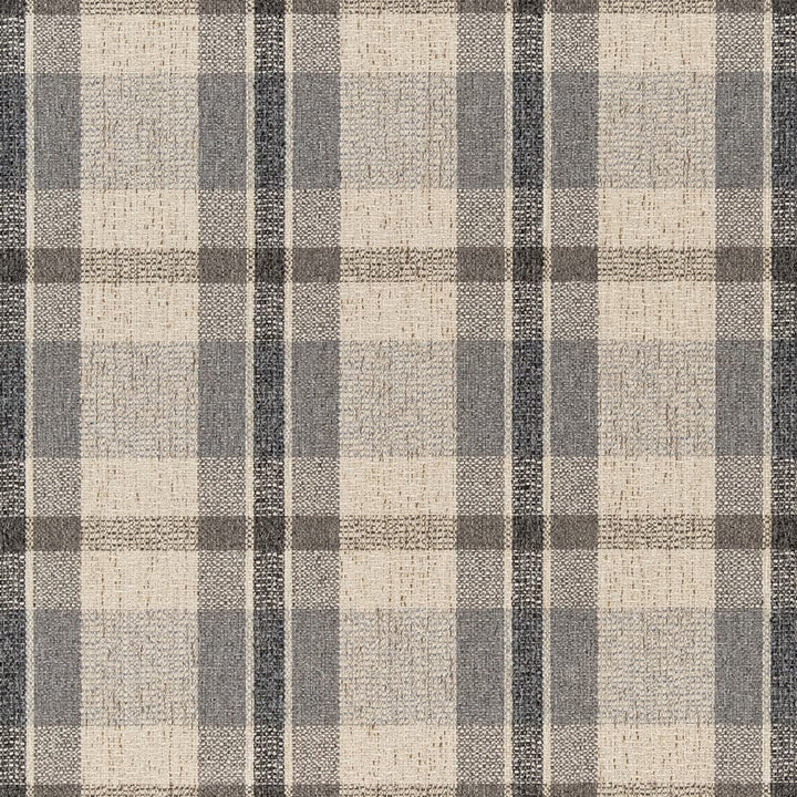 F200-126 by Charlotte Designer Fabric Pewter 60% Recycled Polyester, 40% Polyester Made In USA Exceeds 100,000 Wyzenbeek Rubs (Heavy Duty) </p><p>Repeat: Horizontal 7" x Vertical 7" 54 Inches - Swanky Fabrics -