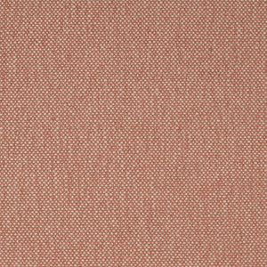 F200-161 by Charlotte Fabric