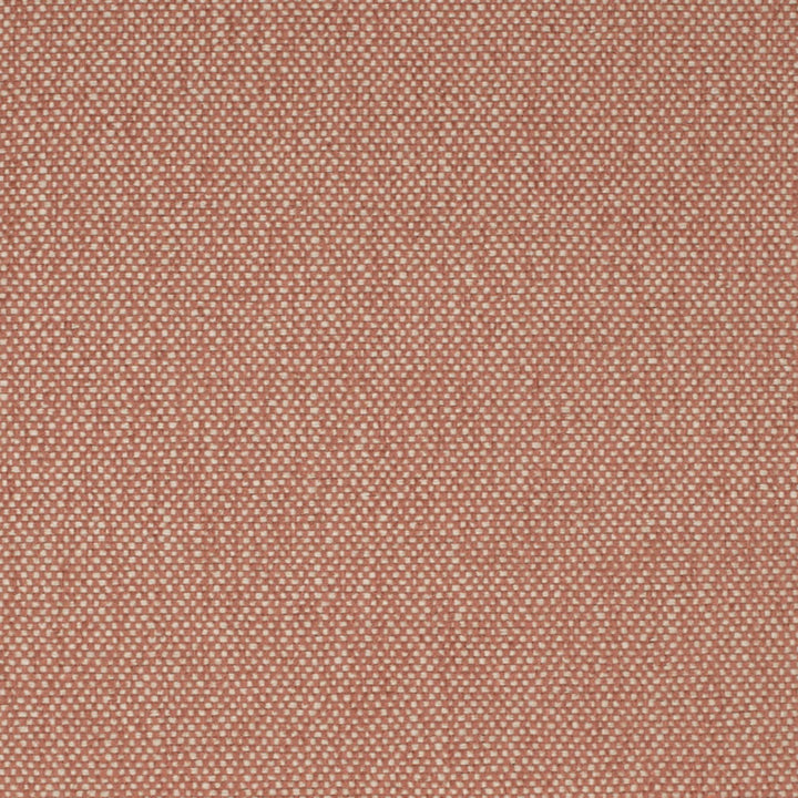 F200-161 by Charlotte Fabric Terracotta 57% Olefin, 43% Polyester USA Exceeds 102,000 Wyzenbeek Rubs (Heavy Duty) No Repeat 54 Inches - Fabric Carolina -