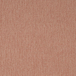 F200-161 by Charlotte Fabric