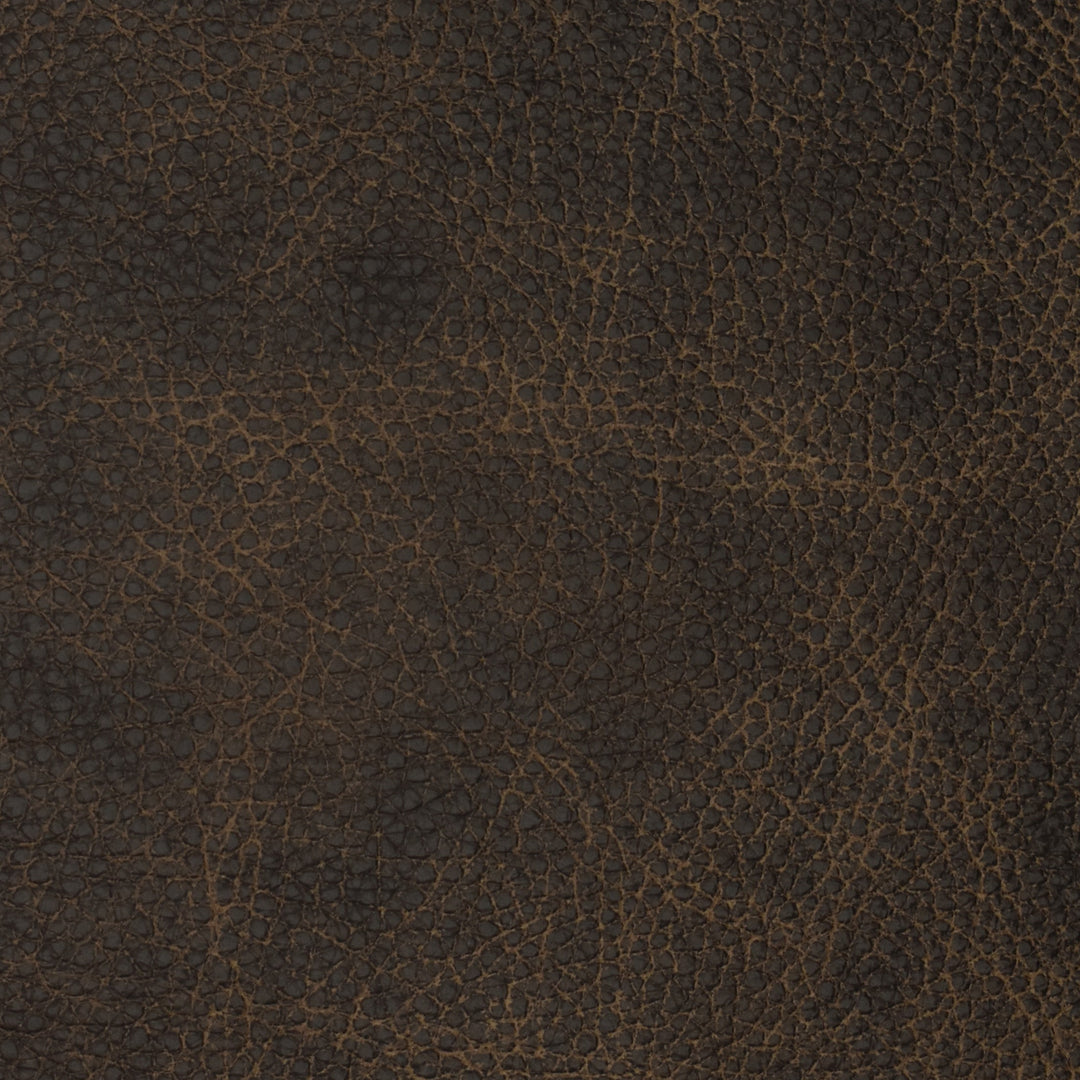 F2096 Bandwagon by Greenhouse Designer Fabric