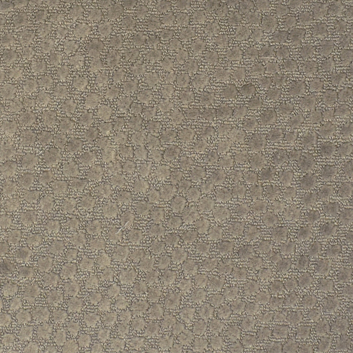 F2212 Putty by Greenhouse Fabric 100% Polyester China 60,000 </p><p>Repeat: 3.4" H, 4.75" V 55" - Fabric Carolina -