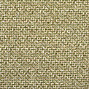 F2353 Cactus by Greenhouse Fabric