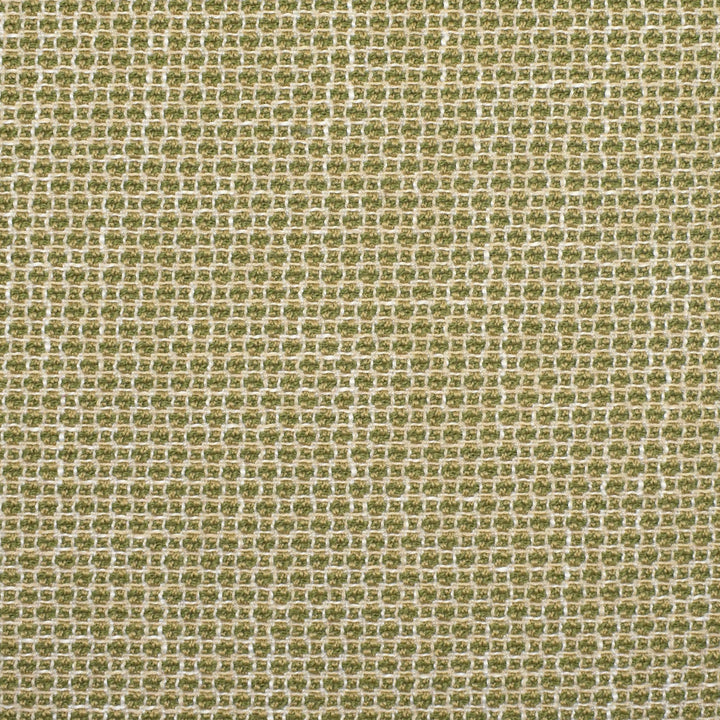 F2353 Cactus by Greenhouse Designer Fabric 100% Polyester China 92,000 </p><p>Repeat: .5" H, .5" V 57" - Swanky Fabrics -