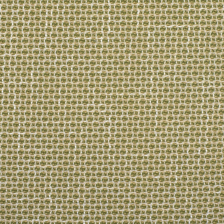F2353 Cactus by Greenhouse Fabric E89: upholstery by COLOR 100% Polyester China 92,000 double rubs </p><p>Repeat: .5" H, .5" V 57" - Fabric Carolina -