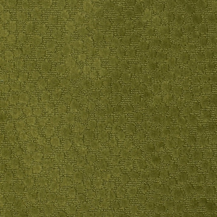 F2362 Apple by Greenhouse Fabric E71: greenhouse HUES 100% Polyester China 60,000 double rubs </p><p>Repeat: 3.4" H, 4.75" V 55" - Fabric Carolina -