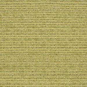 F2396 Kiwi by Greenhouse Fabric