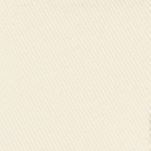 F2516 Snow by Greenhouse Fabric