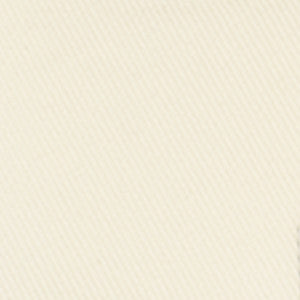 F2516 Snow by Greenhouse Fabric