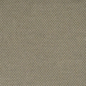 F2534 Nickel by Greenhouse Fabric