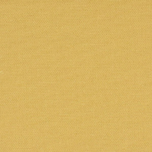 F2542 Sunshine by Greenhouse Fabric