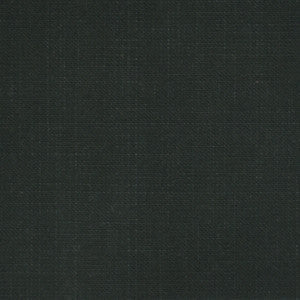 F2555 Charcoal by Greenhouse Fabric
