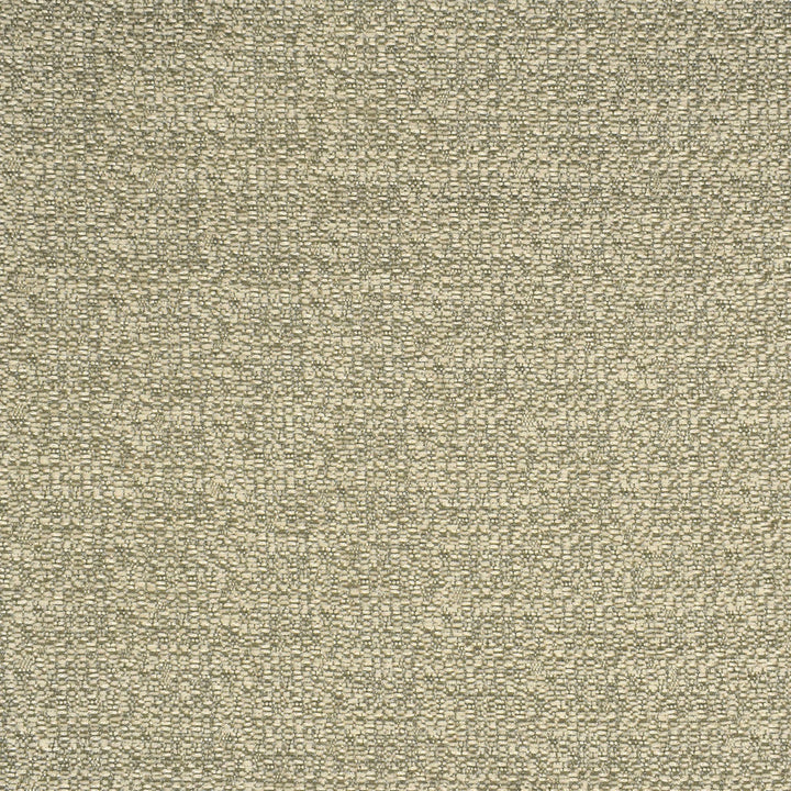 F2749 Birch by Greenhouse Designer Fabric E83: greenhouse HUES 100% Polyester China 30,000 double rubs </p><p>Repeat: None 58" - Swanky Fabrics -