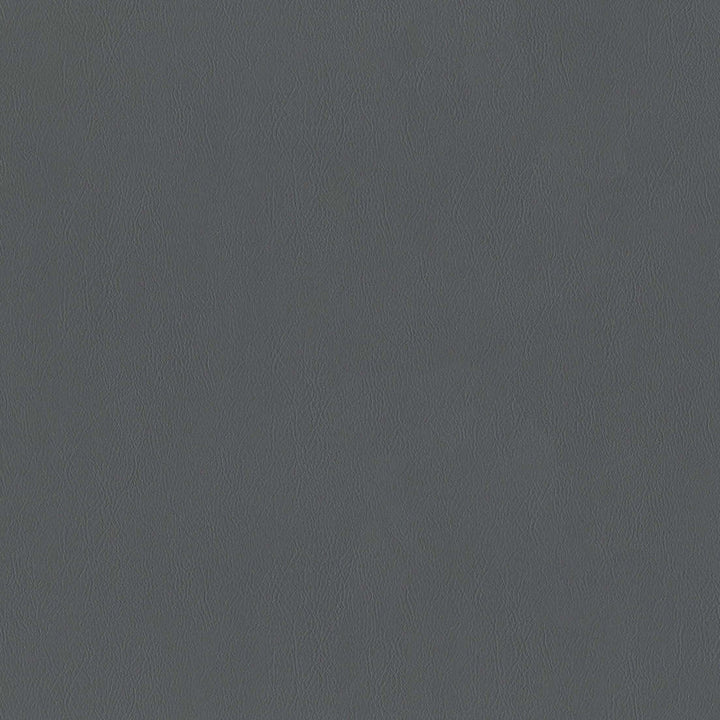 F2862 Slate by Greenhouse Designer Fabric 100% Vinyl, Backing: 100% Polyester China 1,500,000 </p><p>Repeat: None 54" - Swanky Fabrics -