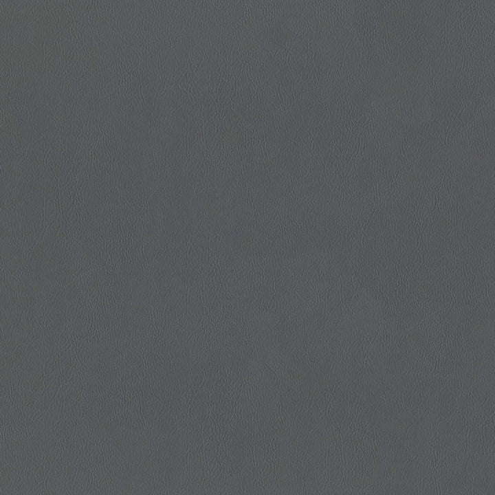 F2862 Slate by Greenhouse Fabric 100% Vinyl, Backing: 100% Polyester China 1,500,000 </p><p>Repeat: None 54" - Fabric Carolina -