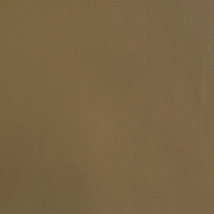 F2868 Taupe by Greenhouse Fabric