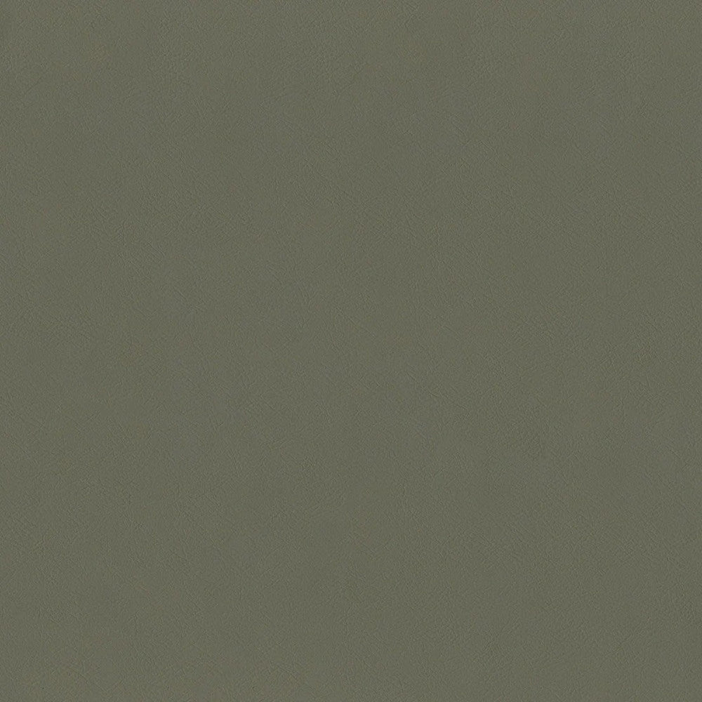 F2870 Mocha by Greenhouse Fabric 100% Vinyl, Backing: 100% Polyester China 1,500,000 </p><p>Repeat: None 54" - Fabric Carolina -