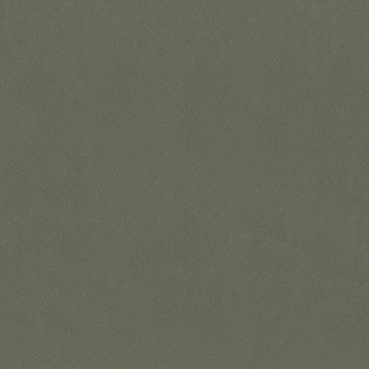 F2870 Mocha by Greenhouse Fabric 100% Vinyl, Backing: 100% Polyester China 1,500,000 </p><p>Repeat: None 54" - Fabric Carolina -
