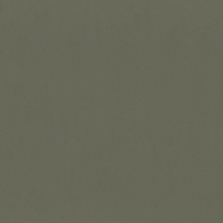 F2870 Mocha by Greenhouse Designer Fabric 100% Vinyl, Backing: 100% Polyester China 1,500,000 </p><p>Repeat: None 54" - Swanky Fabrics -