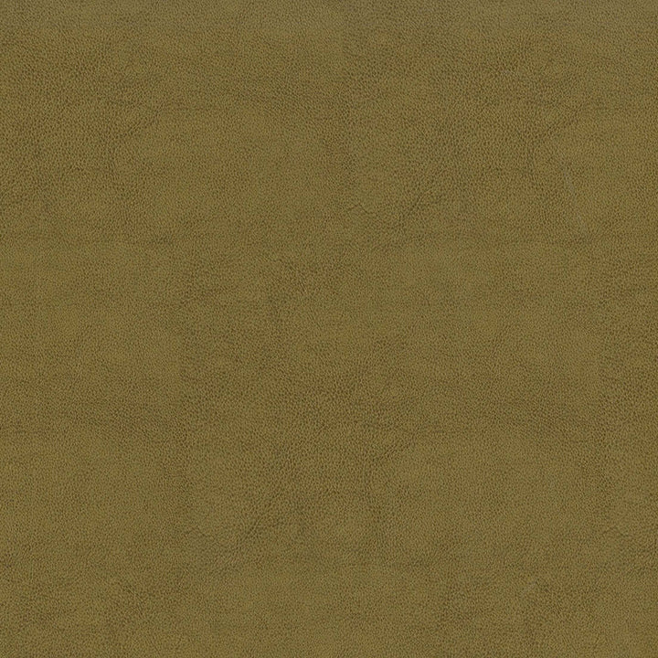 F2872 Tan by Greenhouse Fabric 100% Vinyl, Backing: 100% Polyester China 1,500,000 </p><p>Repeat: None 54" - Fabric Carolina -