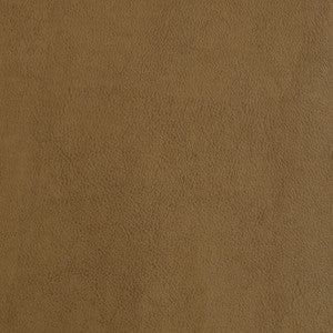 F2872 Tan by Greenhouse Fabric