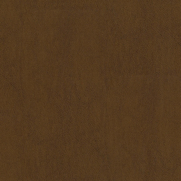 F2873 Amber by Greenhouse Fabric 100% Pvc, Backing: 100% Polyester China 1500000 </p><p>Repeat: None 54" - Fabric Carolina -