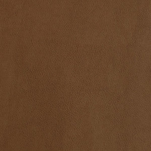 F2873 Amber by Greenhouse Fabric