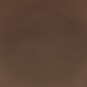 F2874 Earth by Greenhouse Fabric