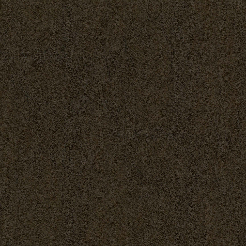 F2875 Tobacco by Greenhouse Fabric 100% Pvc, Backing: 100% Polyester China 1500000 </p><p>Repeat: None 54" - Fabric Carolina -