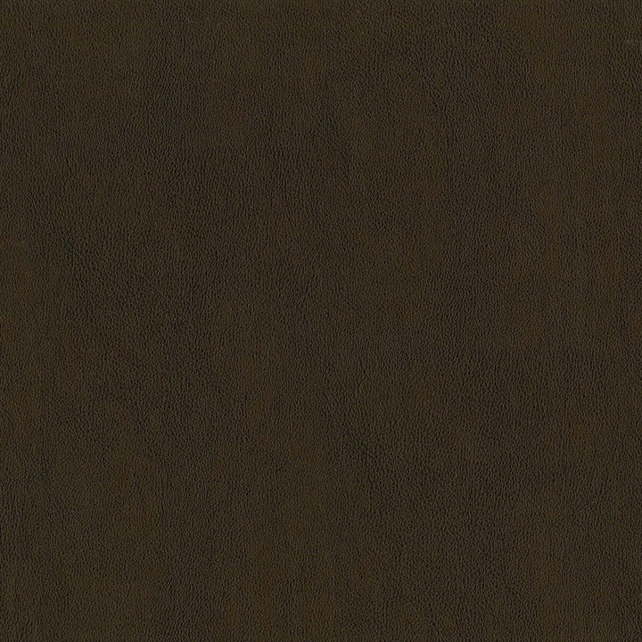 F2875 Tobacco by Greenhouse Fabric 100% Pvc, Backing: 100% Polyester China 1500000 </p><p>Repeat: None 54" - Fabric Carolina -