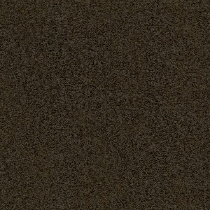F2875 Tobacco by Greenhouse Designer Fabric 100% Pvc, Backing: 100% Polyester China 1500000 </p><p>Repeat: None 54" - Swanky Fabrics -