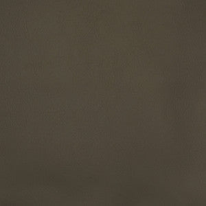 F2879 Chinchilla by Greenhouse Fabric