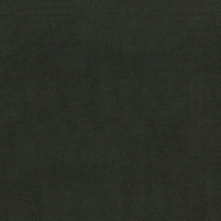 F2880 Charcoal by Greenhouse Designer Fabric 100% Vinyl, Backing: 100% Polyester China 1,500,000 </p><p>Repeat: None 54" - Swanky Fabrics -
