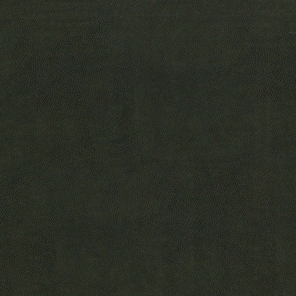 F2880 Charcoal by Greenhouse Fabric 100% Vinyl, Backing: 100% Polyester China 1,500,000 </p><p>Repeat: None 54" - Fabric Carolina -