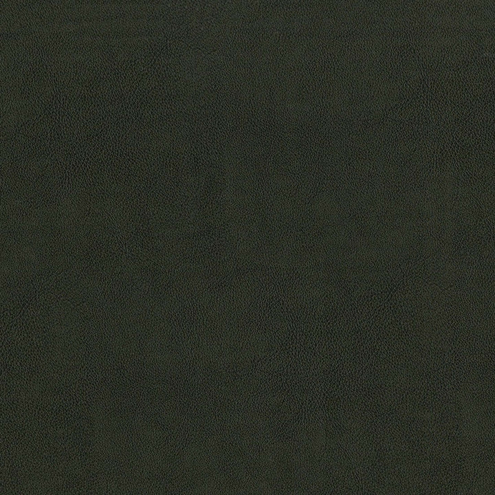 F2880 Charcoal by Greenhouse Fabric 100% Vinyl, Backing: 100% Polyester China 1,500,000 </p><p>Repeat: None 54" - Fabric Carolina -