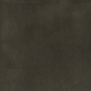F2880 Charcoal by Greenhouse Fabric