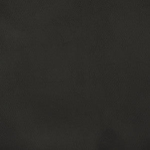 F2881 Raven by Greenhouse Fabric