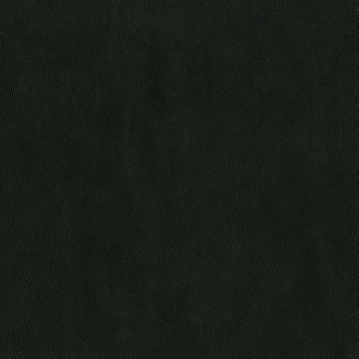 F2881 Raven by Greenhouse Designer Fabric 100% Vinyl, Backing: 100% Polyester China 1,500,000 </p><p>Repeat: None 54" - Swanky Fabrics -