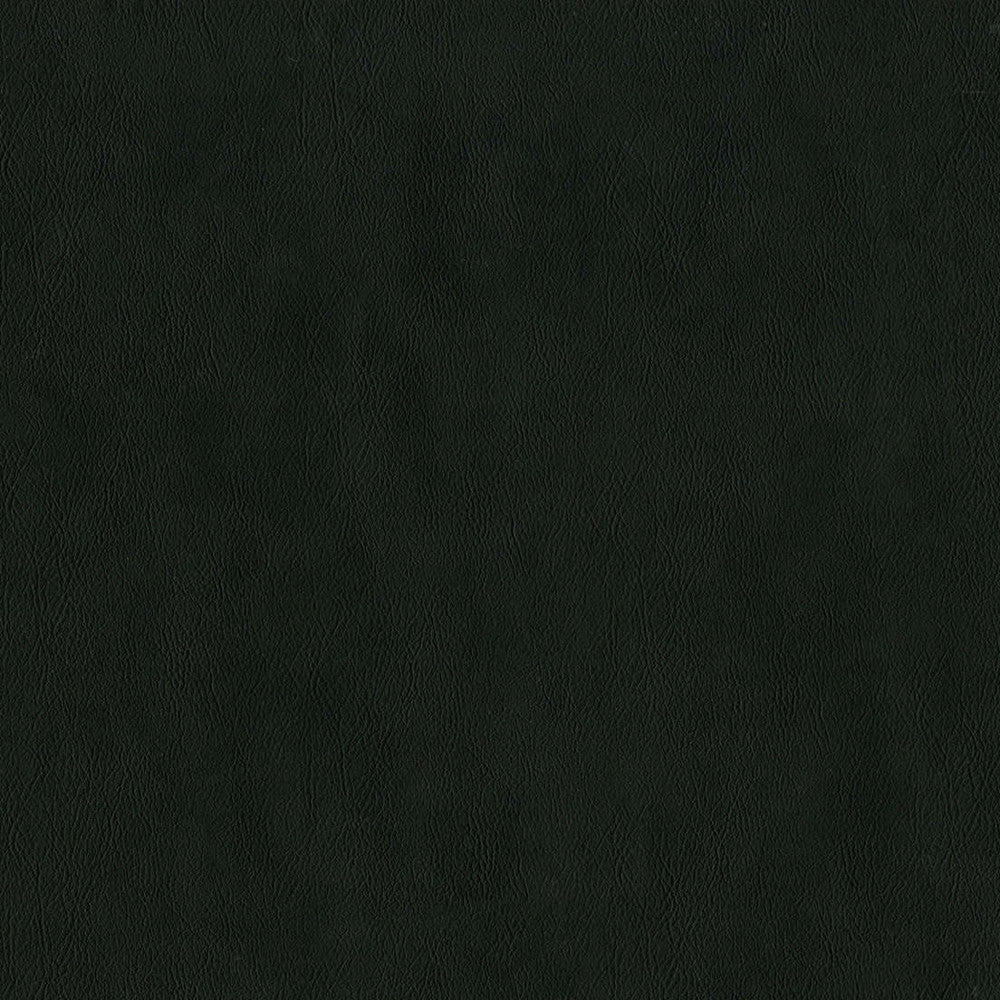 F2881 Raven by Greenhouse Fabric 100% Vinyl, Backing: 100% Polyester China 1,500,000 </p><p>Repeat: None 54" - Fabric Carolina -