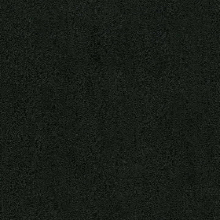 F2881 Raven by Greenhouse Fabric 100% Vinyl, Backing: 100% Polyester China 1,500,000 </p><p>Repeat: None 54" - Fabric Carolina -