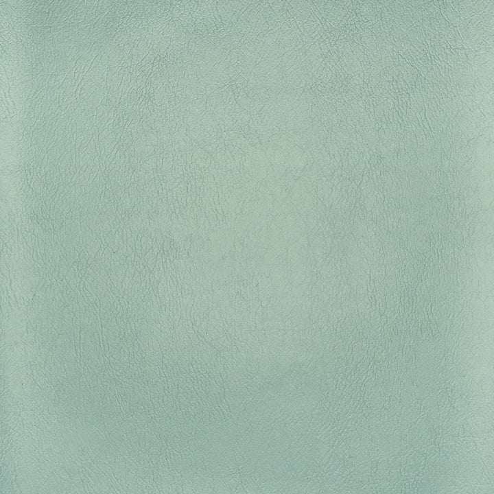 F2886 Spa by Greenhouse Fabric E77: Value Vinyl Face: 100% Pvc Back: 100% Polyester Mildew Resistant Cold Crack: -55° C 1,500 Light Hours Weight: 33.10 Oz/Lin. Yd Thickness: 1.10 Mm Fr Additive Free, Prop 65 Compliant China 1,500,000 double rubs Endurepel </p><p>Repeat: None 55" - Fabric Carolina -