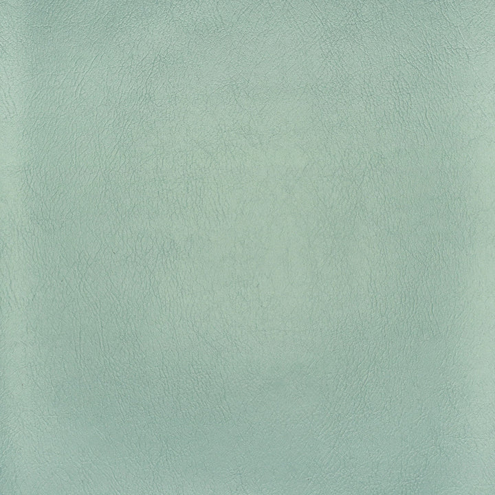 F2886 Spa by Greenhouse Designer Fabric Face: 100% Pvc Back: 100% Polyester Mildew Resistant Cold Crack: -55Â° C 1,500 Light Hours Weight: 33.10 Oz/Lin. Yd Thickness: 1.10 Mm Fr Additive Free, Prop 65 Compliant China 1,500,000 double rubs </p><p>Repeat: NONE 55" - Swanky Fabrics -