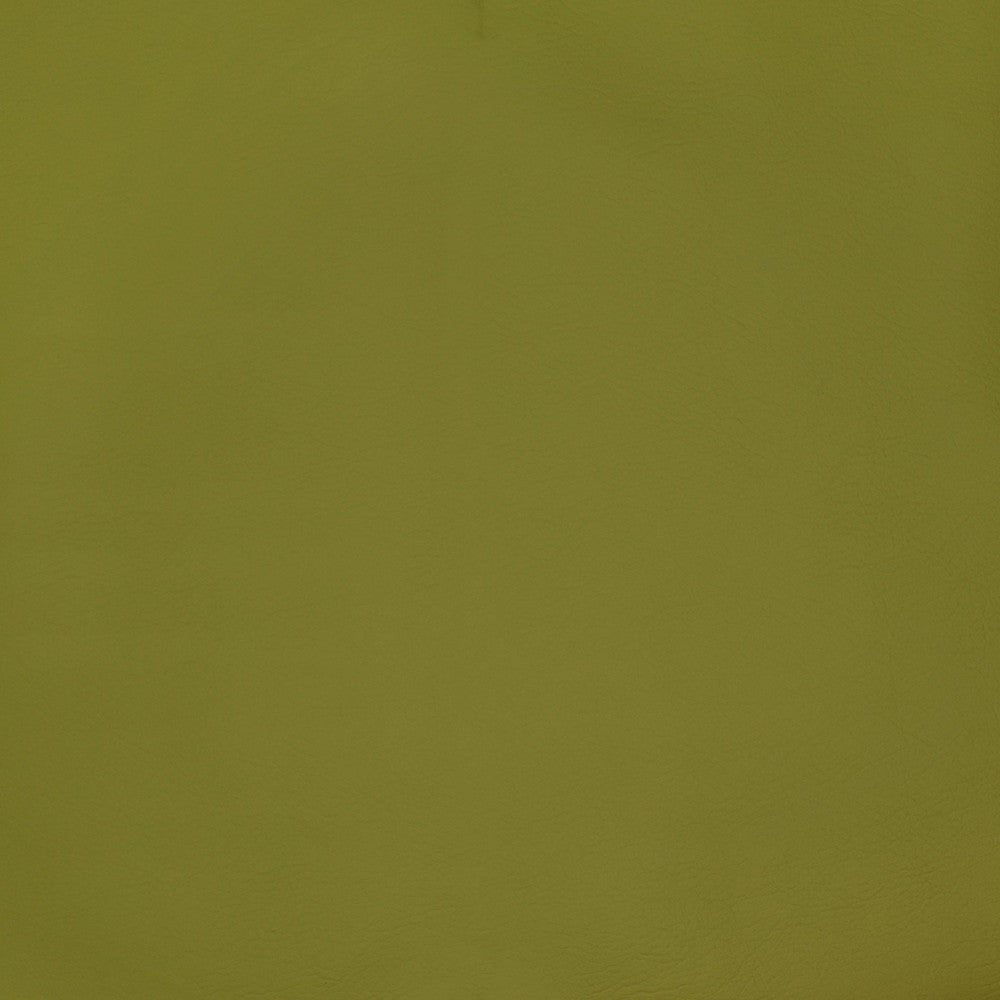 F2898 Spring by Greenhouse Fabric Face: 100% Pvc Back: 100% Polyester Mildew Resistant Cold Crack: -55° C 1,500 Light Hours Weight: 33.10 Oz/Lin. Yd Thickness: 1.10 Mm Fr Additive Free, Prop 65 Compliant China 1,500,000 double rubs </p><p>Repeat: NONE 55" - Fabric Carolina -