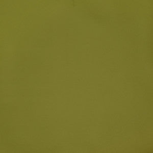 F2898 Spring by Greenhouse Fabric