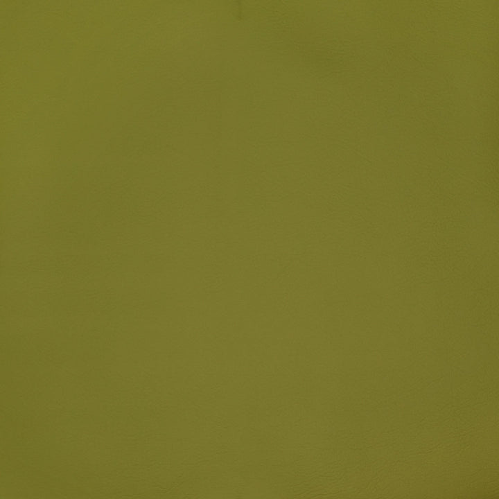 F2898 Spring by Greenhouse Fabric Face: 100% Pvc Back: 100% Polyester Mildew Resistant Cold Crack: -55° C 1,500 Light Hours Weight: 33.10 Oz/Lin. Yd Thickness: 1.10 Mm Fr Additive Free, Prop 65 Compliant China 1,500,000 double rubs </p><p>Repeat: NONE 55" - Fabric Carolina -