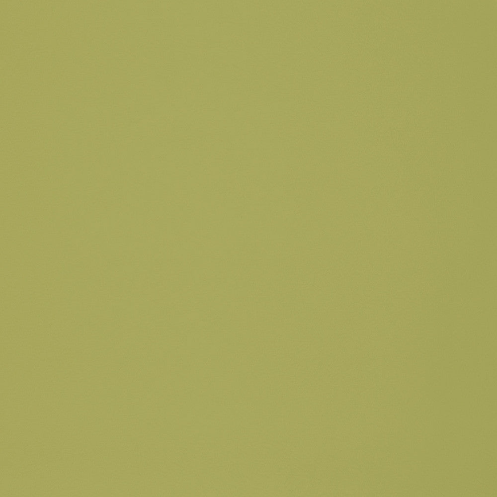 F2899 Meadow by Greenhouse Fabric Face: 100% Pvc Back: 100% Polyester Mildew Resistant Cold Crack: -55° C 1,500 Light Hours Weight: 33.10 Oz/Lin. Yd Thickness: 1.10 Mm Fr Additive Free, Prop 65 Compliant China 1,500,000 double rubs </p><p>Repeat: NONE 55" - Fabric Carolina -