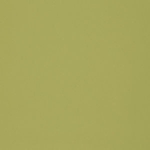 F2899 Meadow by Greenhouse Fabric