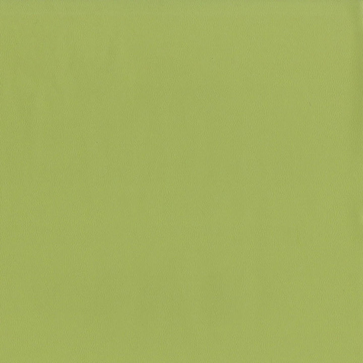 F2899 Meadow by Greenhouse Fabric 100% Vinyl, Backing: 100% Polyester China 1,500,000 </p><p>Repeat: None 54" - Fabric Carolina -